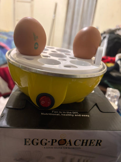 GALLINA SANCOCHADORA DE HUEVOS